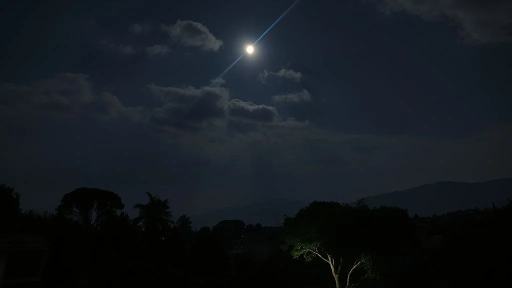 Significado de morcego na bíblia